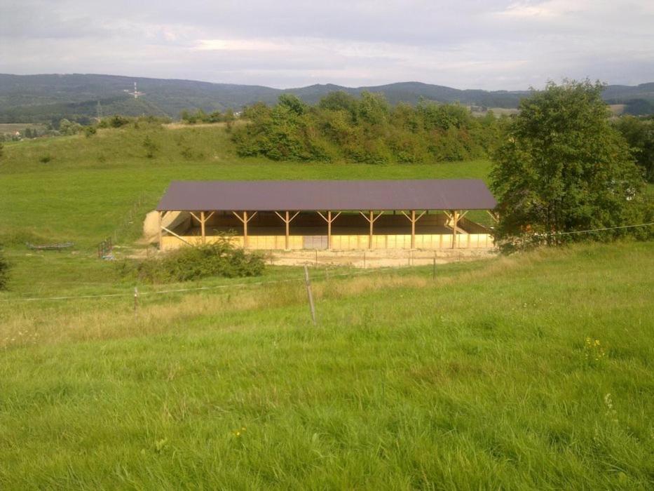 Stawy Zielona Dolina Otel Kudowa-Zdroj Dış mekan fotoğraf